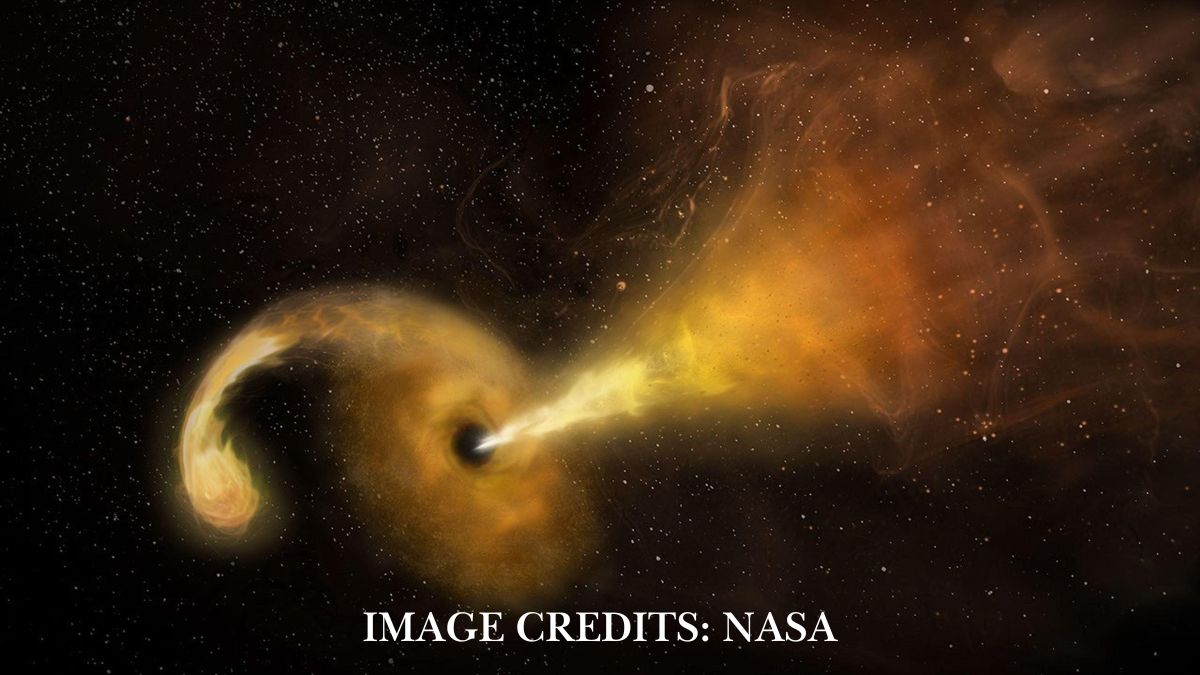 Astronomers Just Watched a Hidden Black Hole Tear a Star Apart!